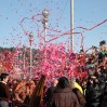 Bataille De Fleurs-2010-02-20-28